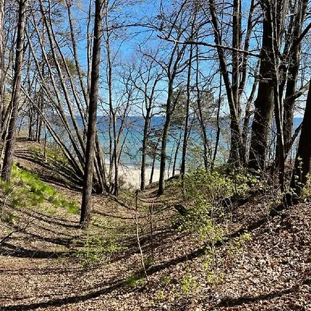 Ovoc Nowe Kolibki * Gdynia